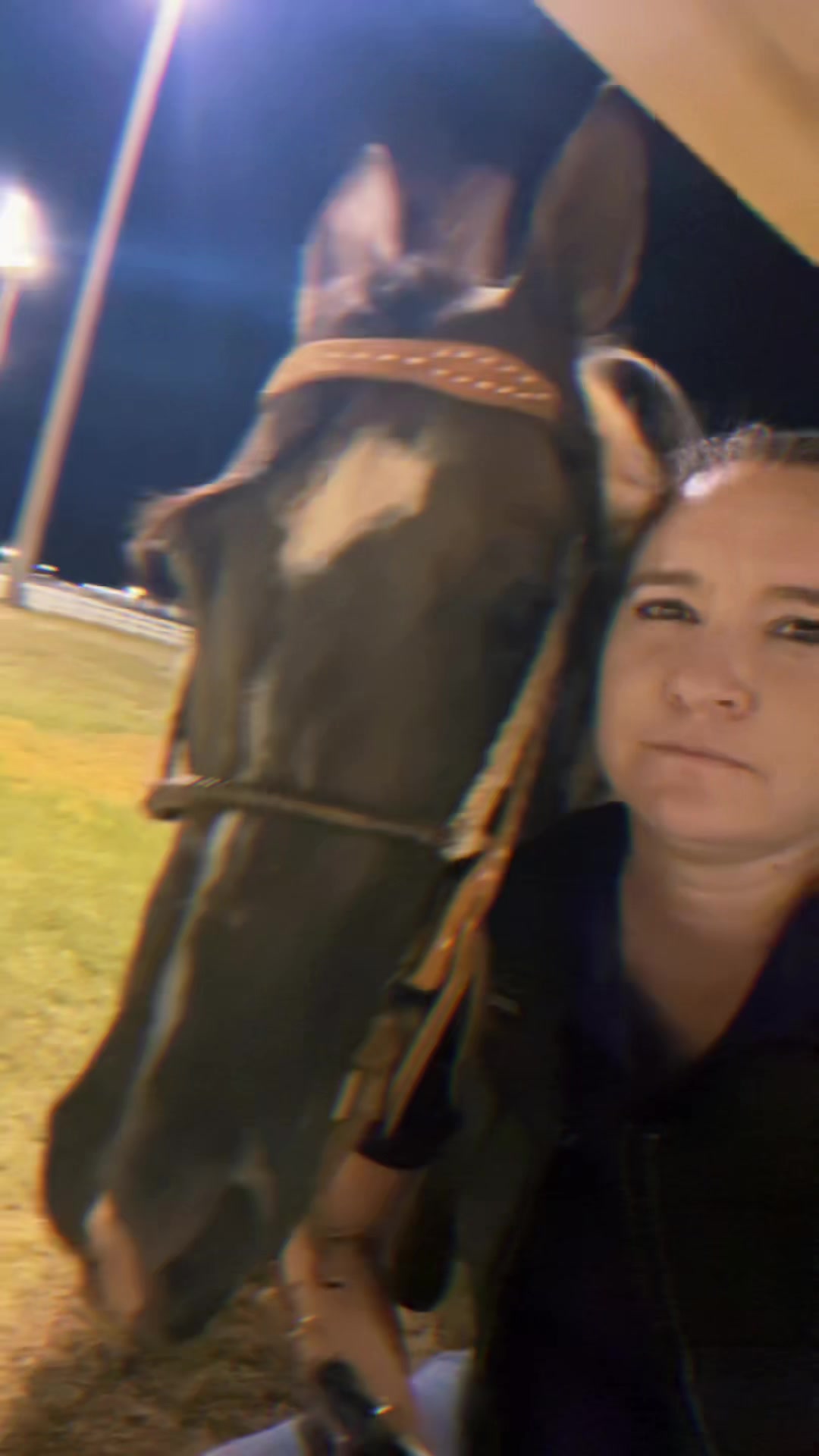 @JM Performance Horses