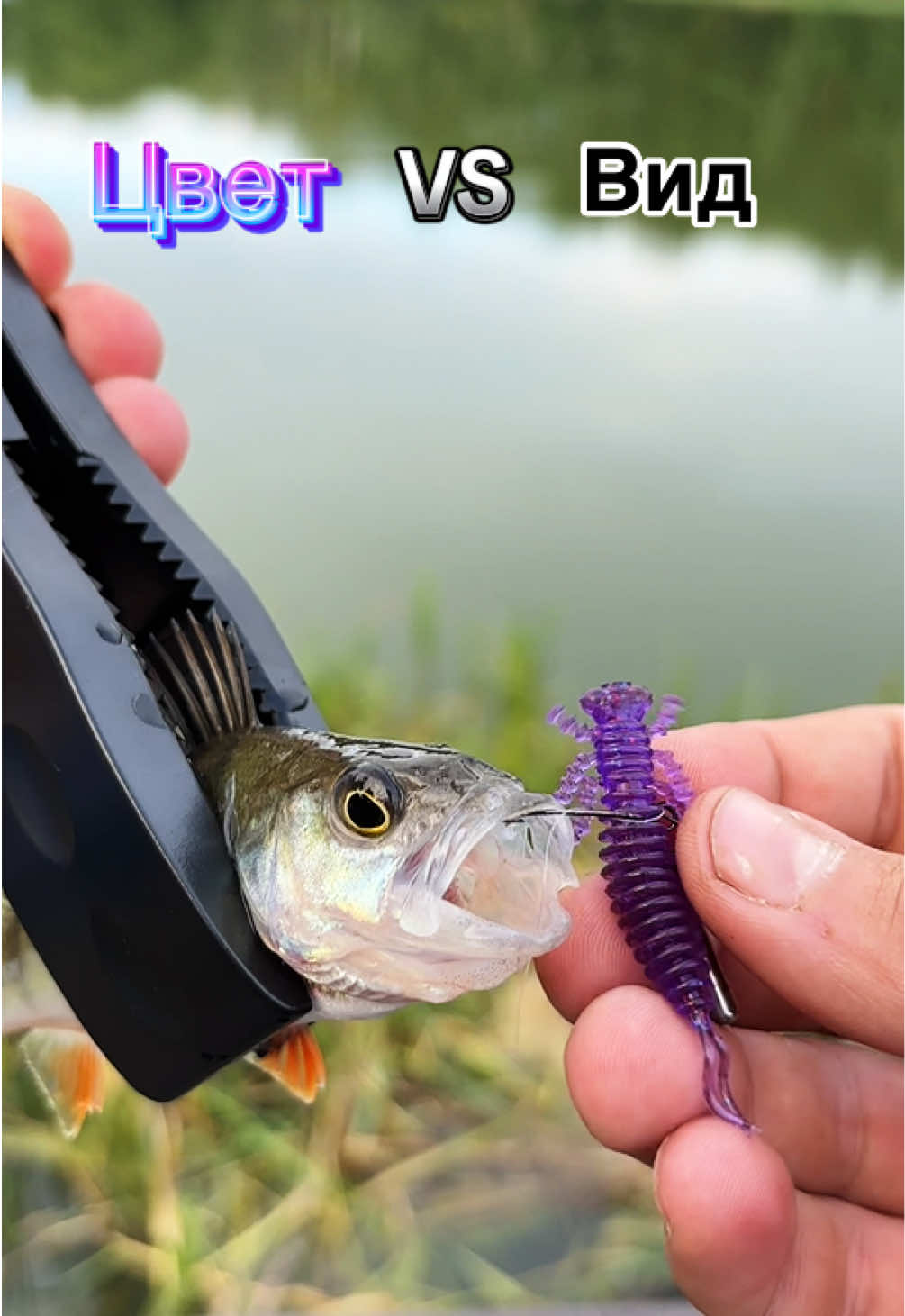 @Максим FastFisher