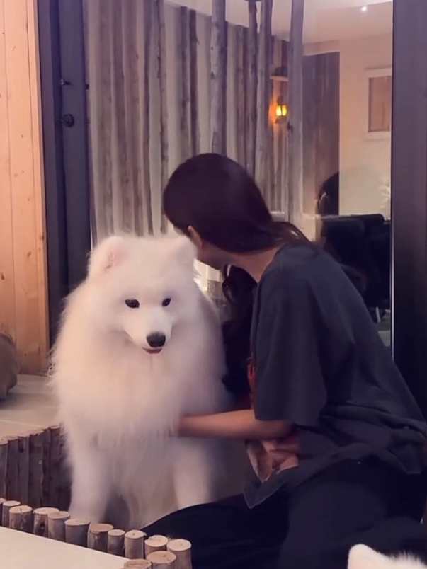@warahaaustin🐶🐰