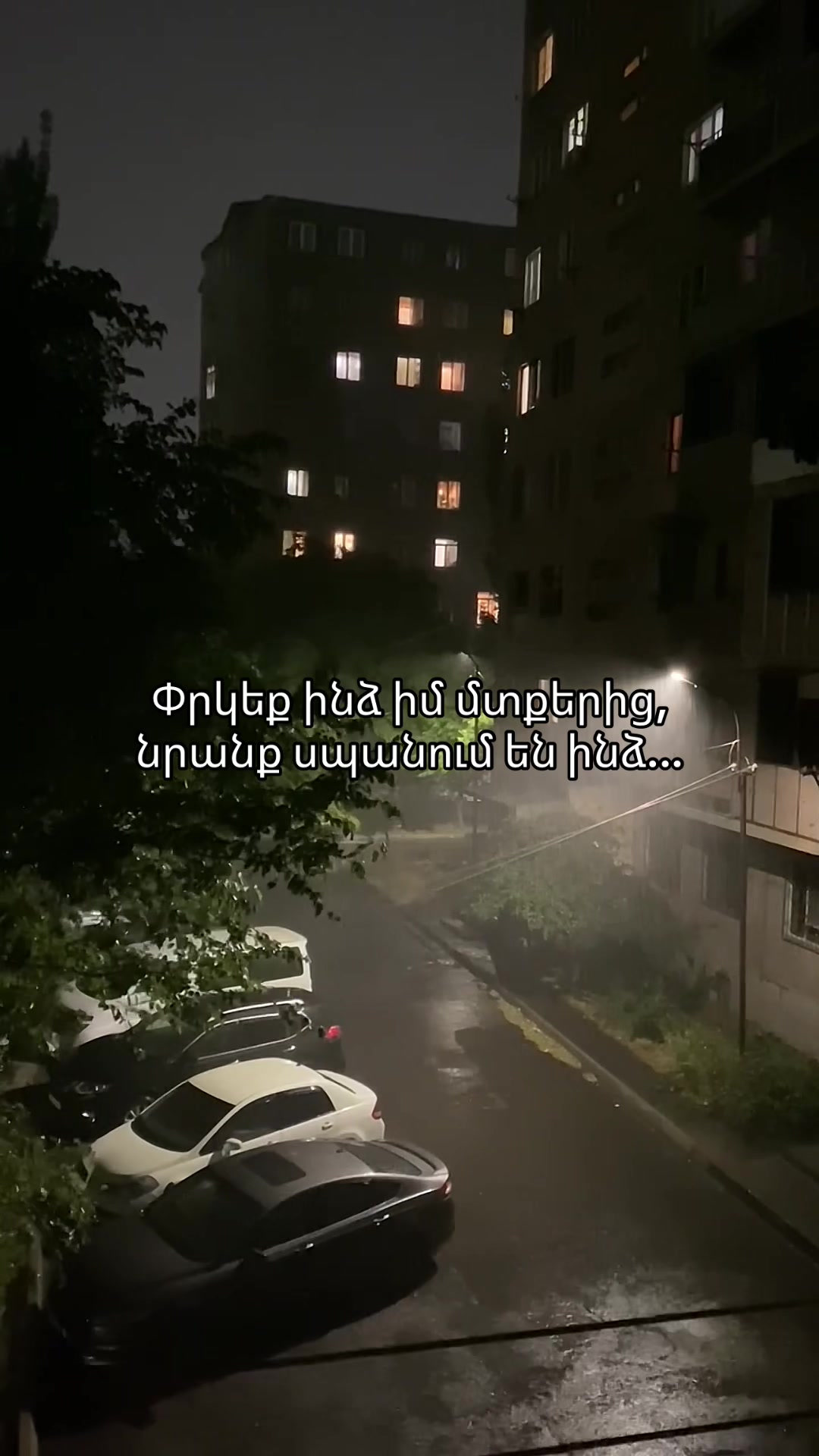 @Ani
