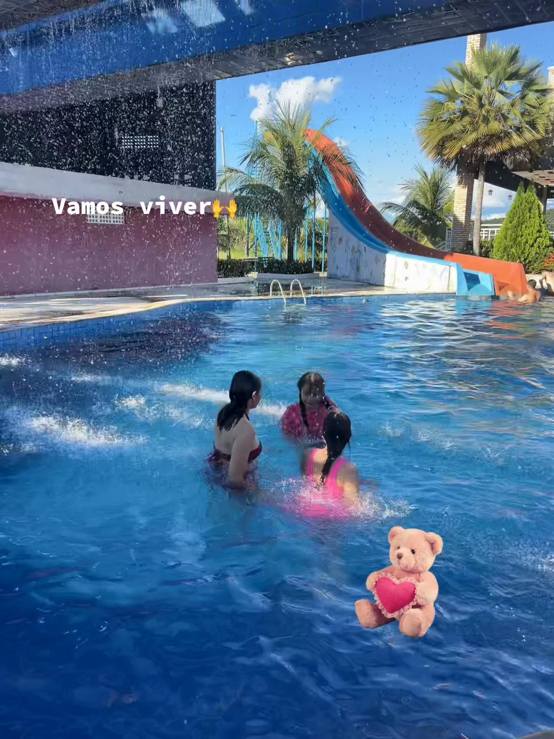 @socorroalves719
