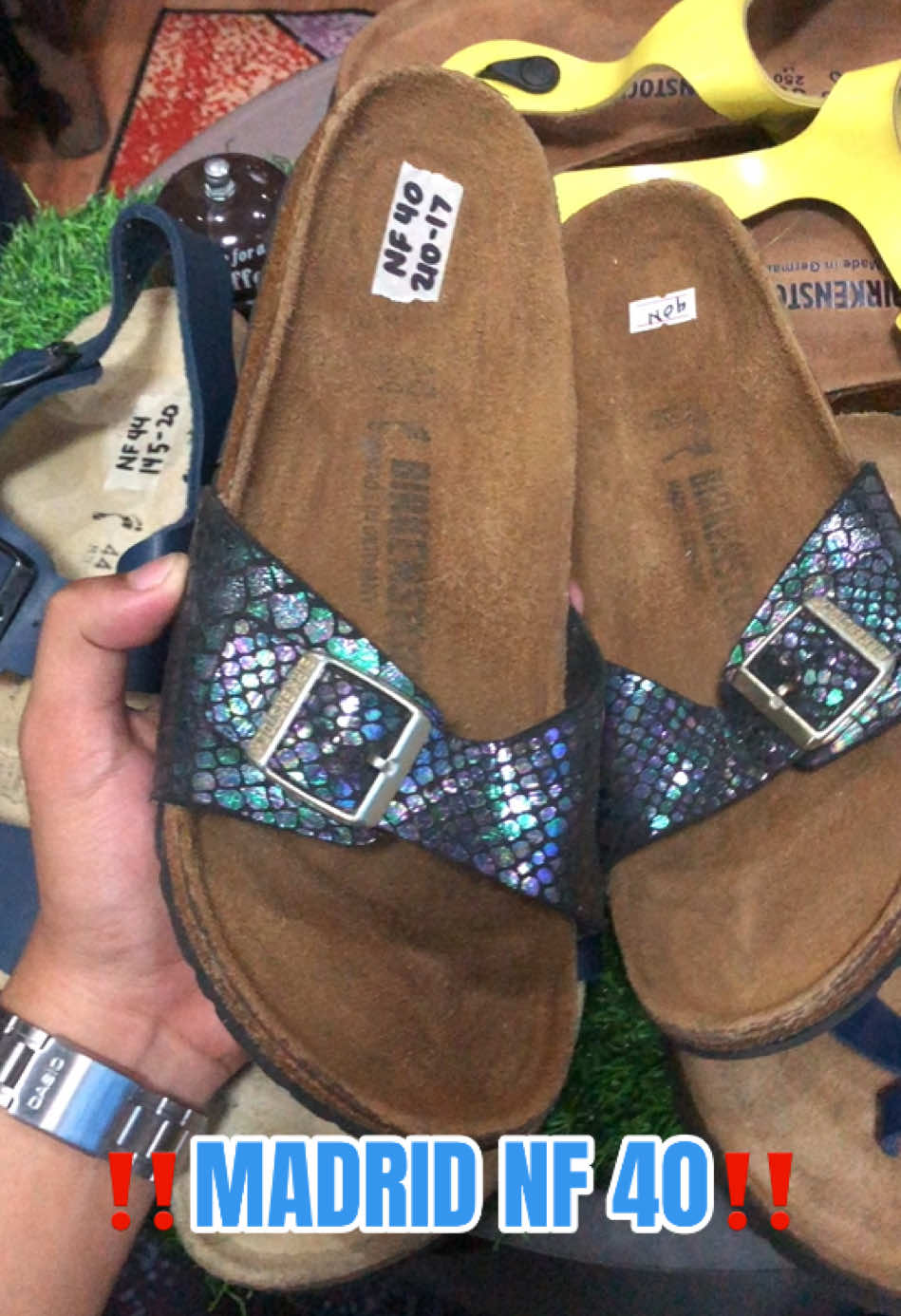 @DAILY BIRKS