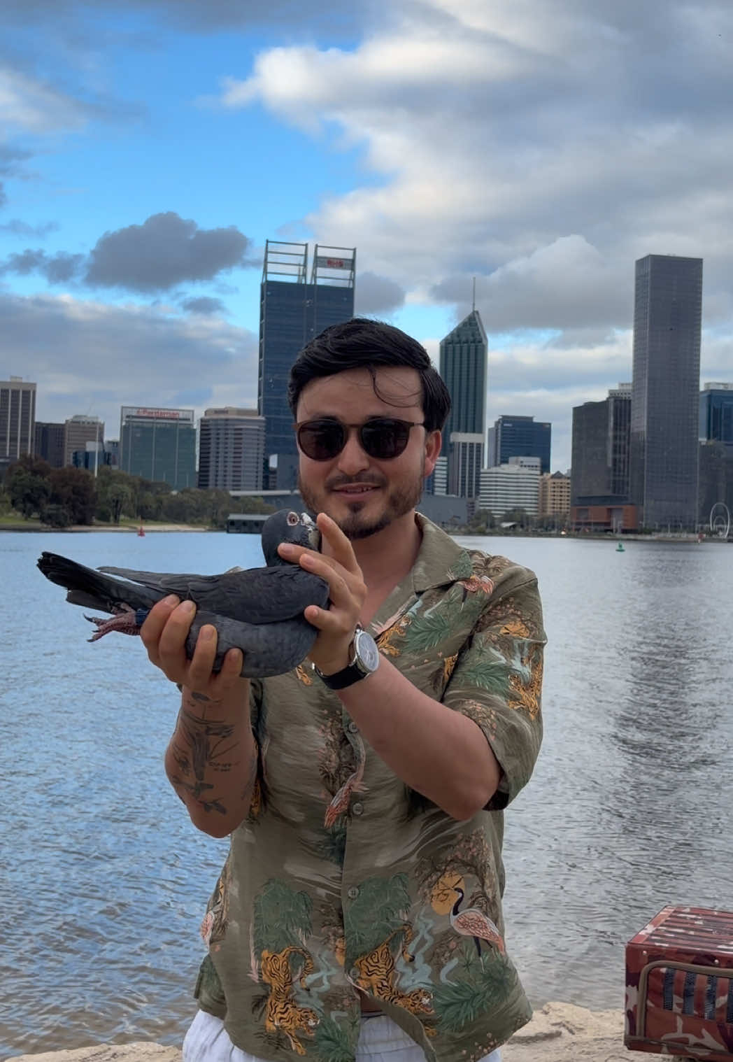 @pigeon.papii