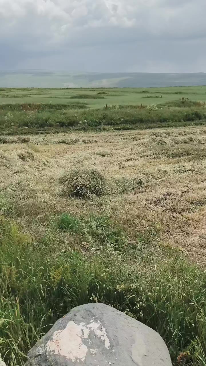 @Göksal Güneş