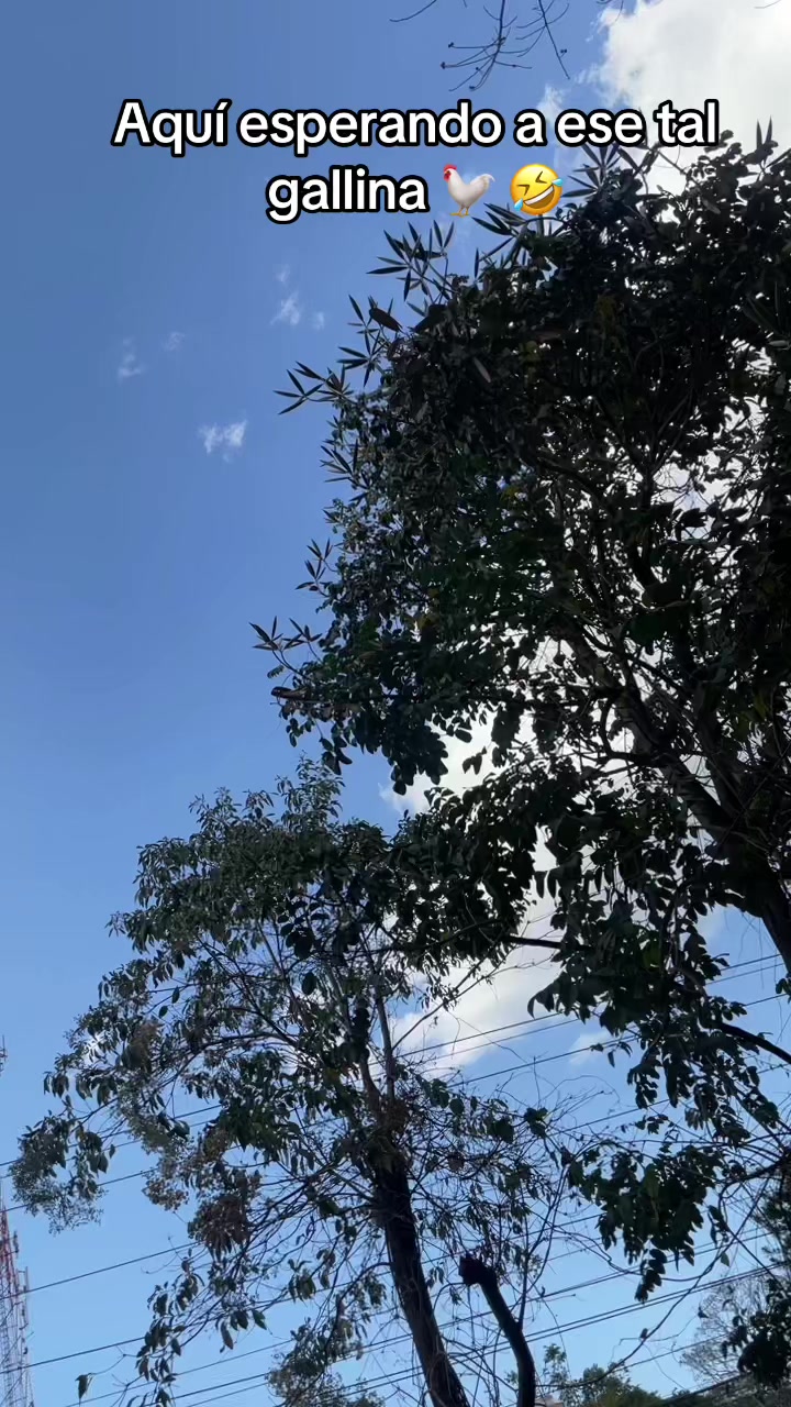 @al3_jxndrx_7🧿🪫