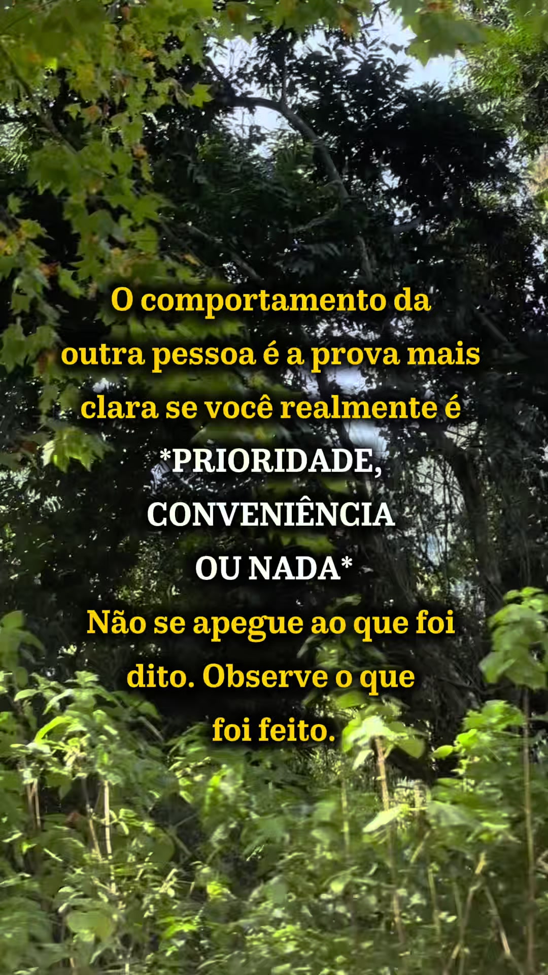 @REI DAS EMO&Ccedil;&Otilde;ES