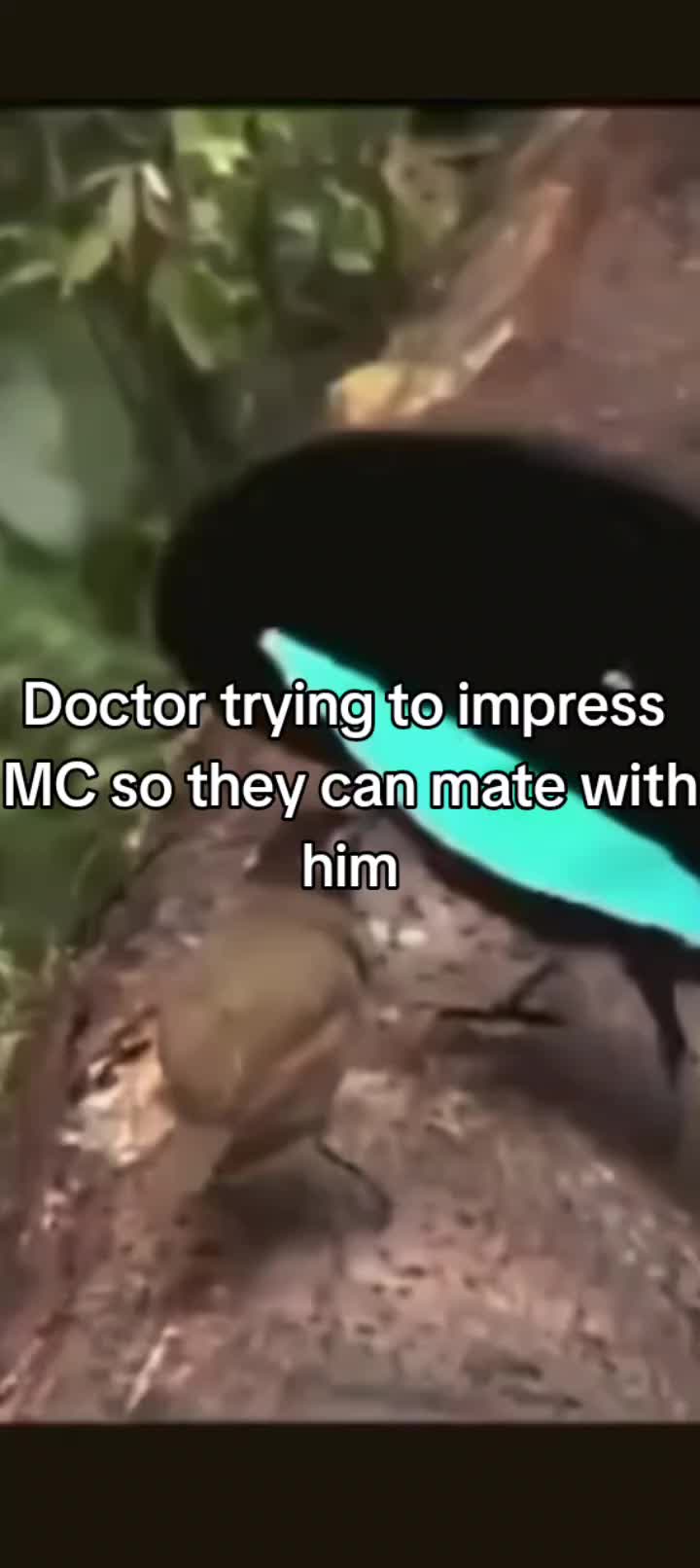 @SMAKE