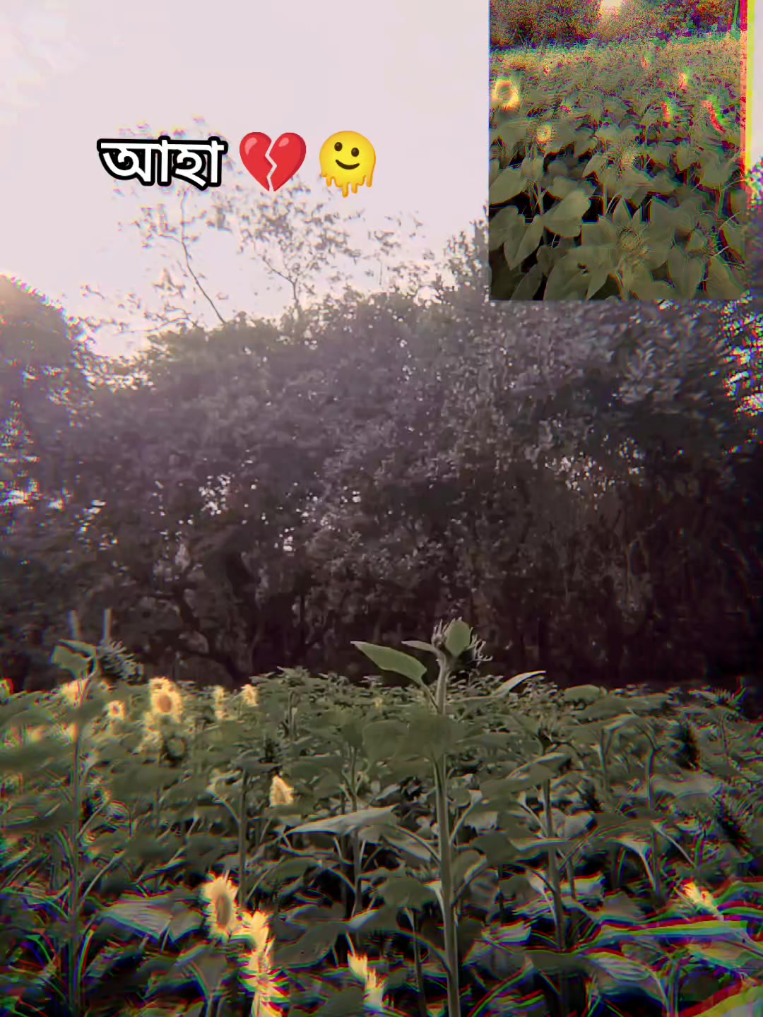 @𝑹_𝑶_𝑩_𝑰_𝑵