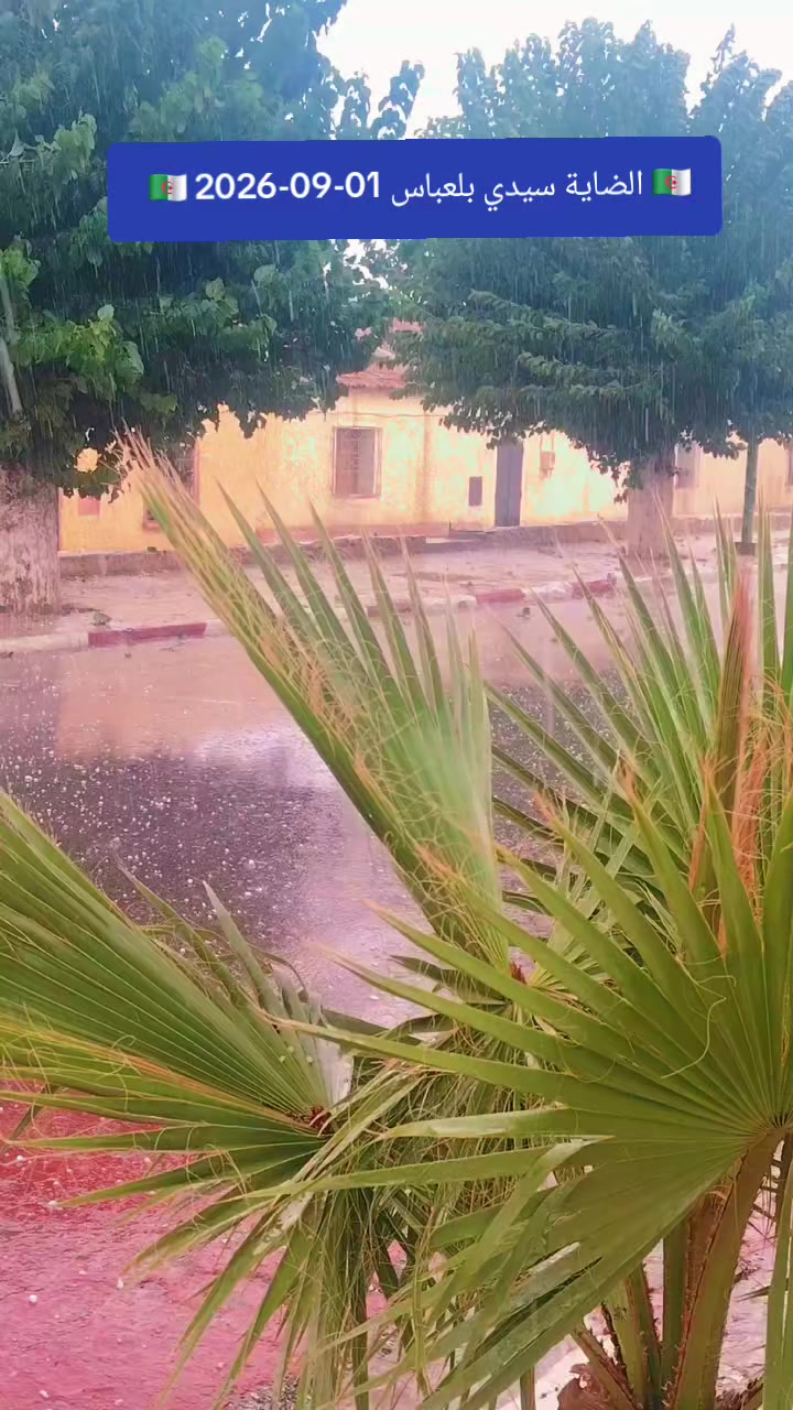 @محمد خراز 🇩🇿 ❤🤍💚