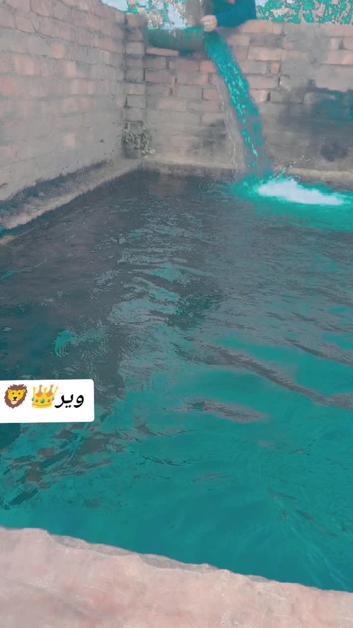 @👑چوھدری عمران صاحب🦁