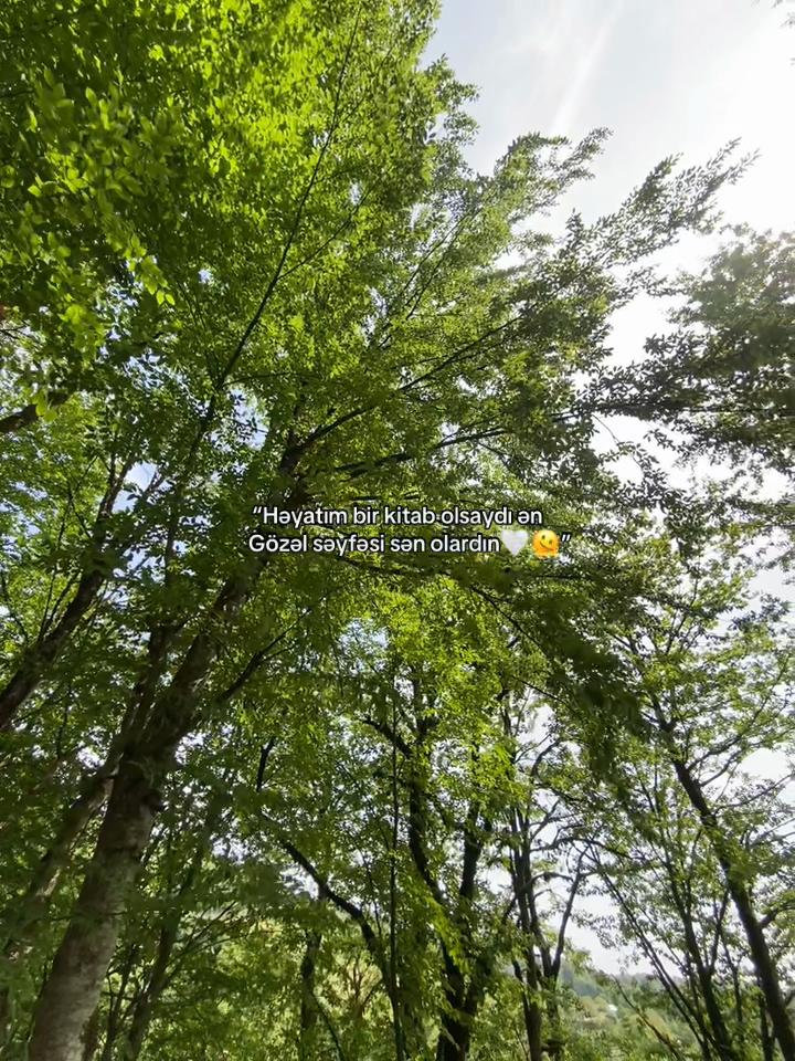 @𝐅𝐚𝐦𝐢𝐥❤️&zwj;🩹🩹