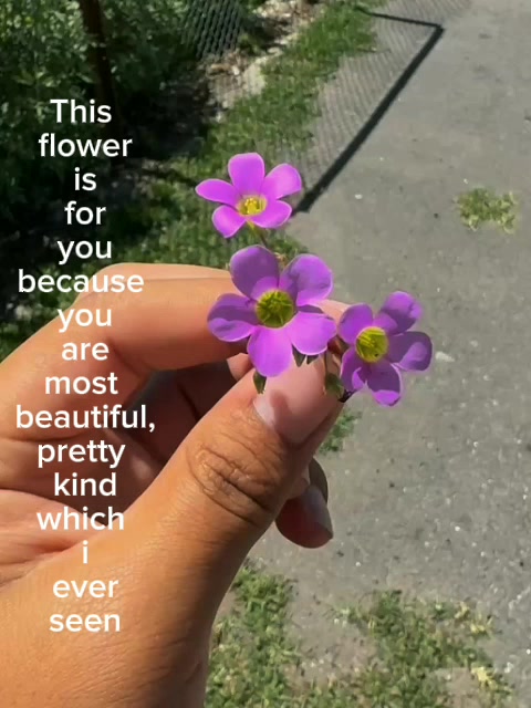 @Yourfavboy_norbu