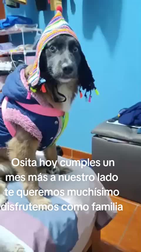 @Sky e Igor 01
