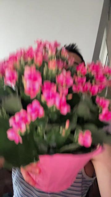 @darimdelossantos30