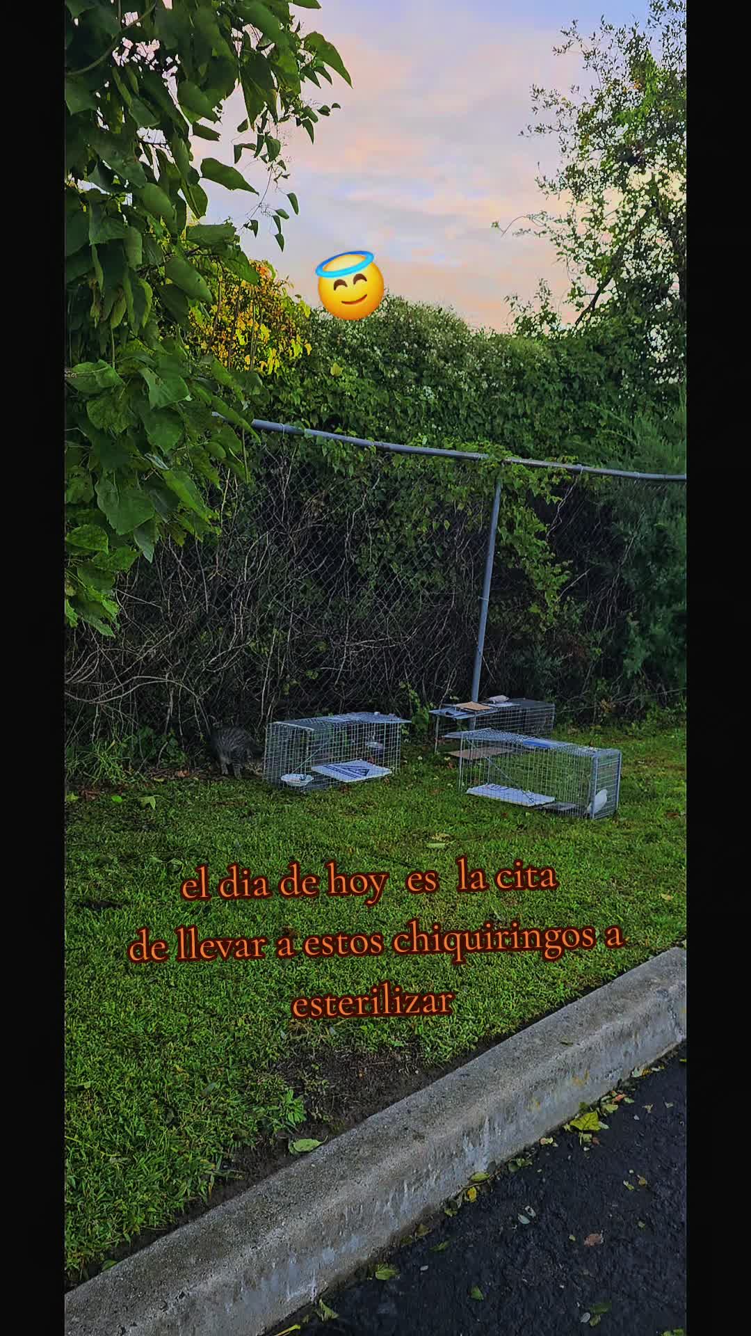 @🇲🇽Guli.Carrada 🐈⬛