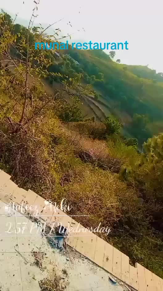 @zaib reki