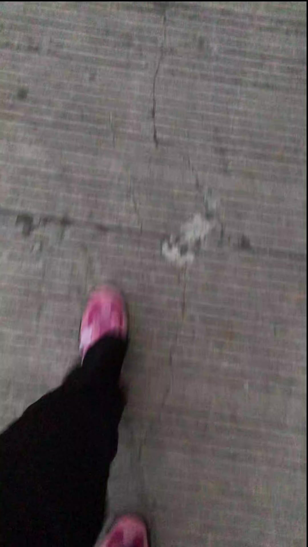 @ش