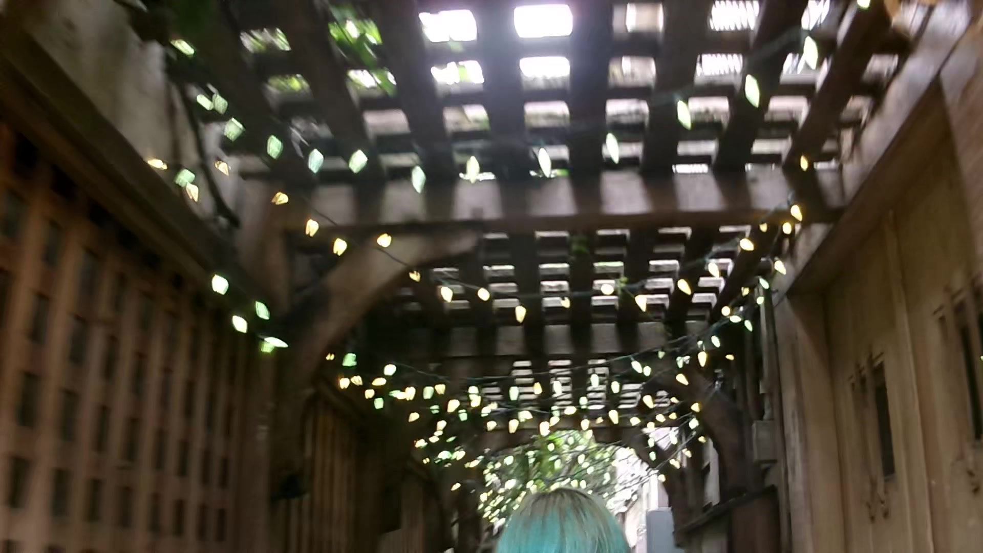 @˚₊‧꒰ა☣︎໒꒱‧₊˚