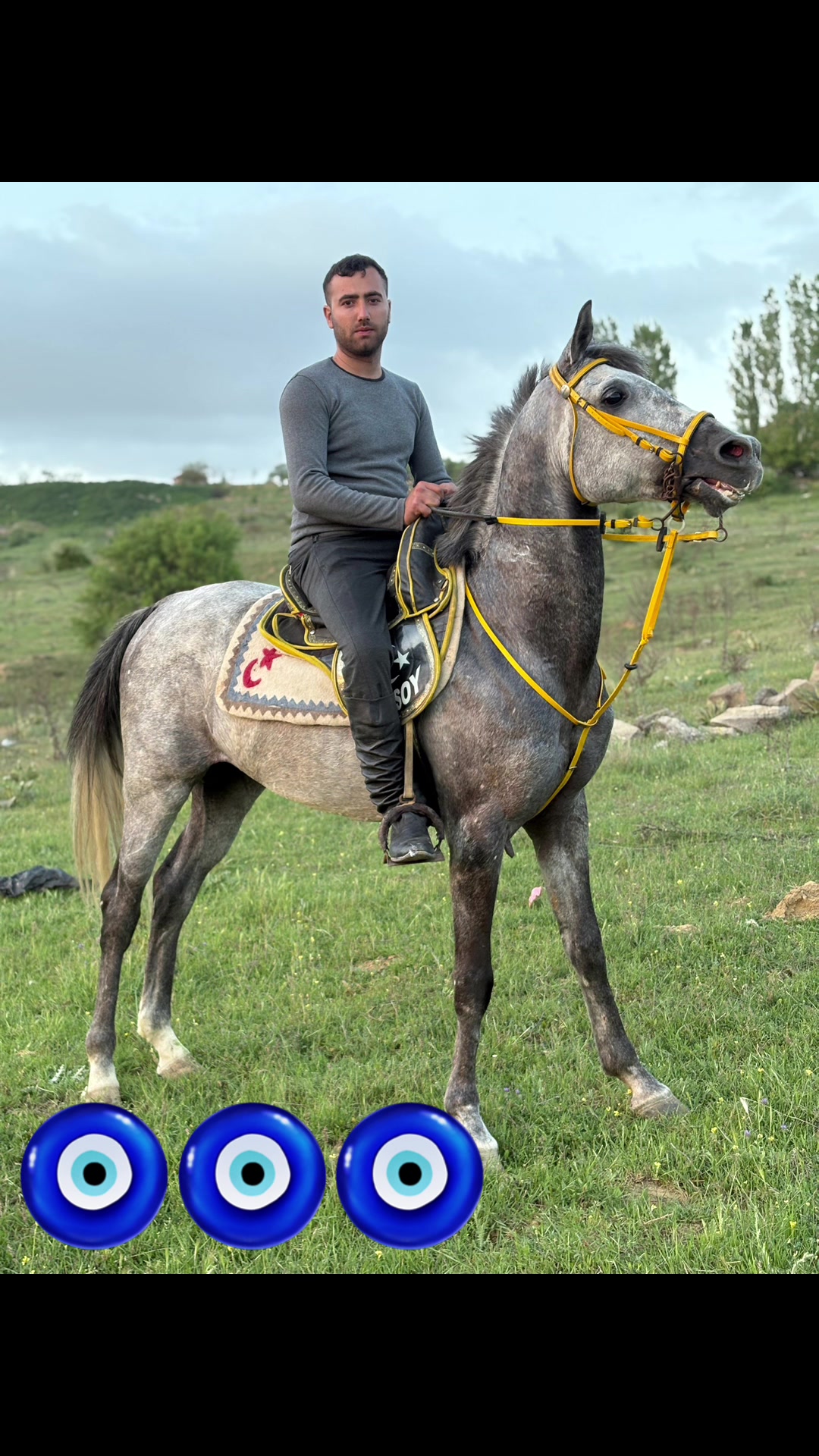 @Ergin Atcı