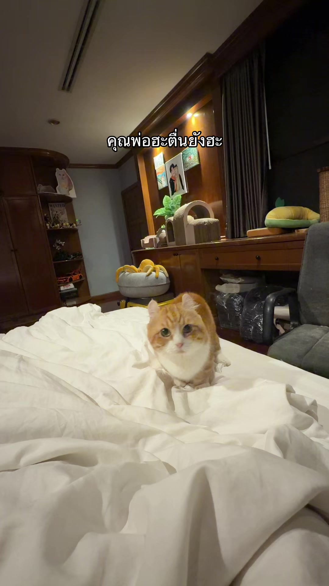 @น้องกล้วยกะป้อกล็อค