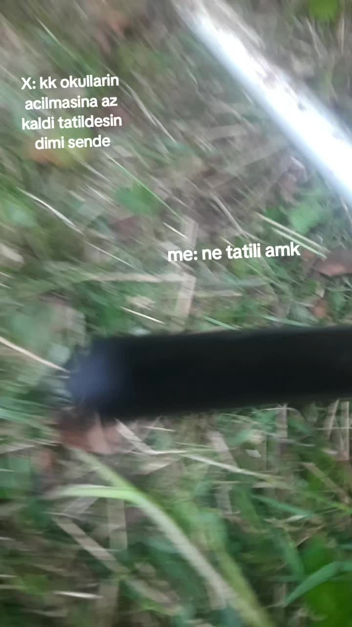 @DRAXUS