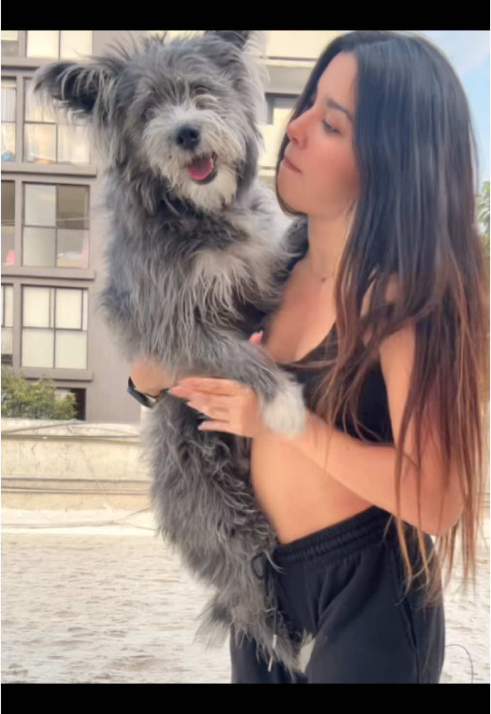 @lagudino9