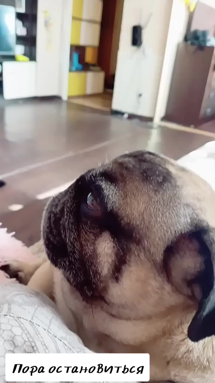 @Хуанита💃