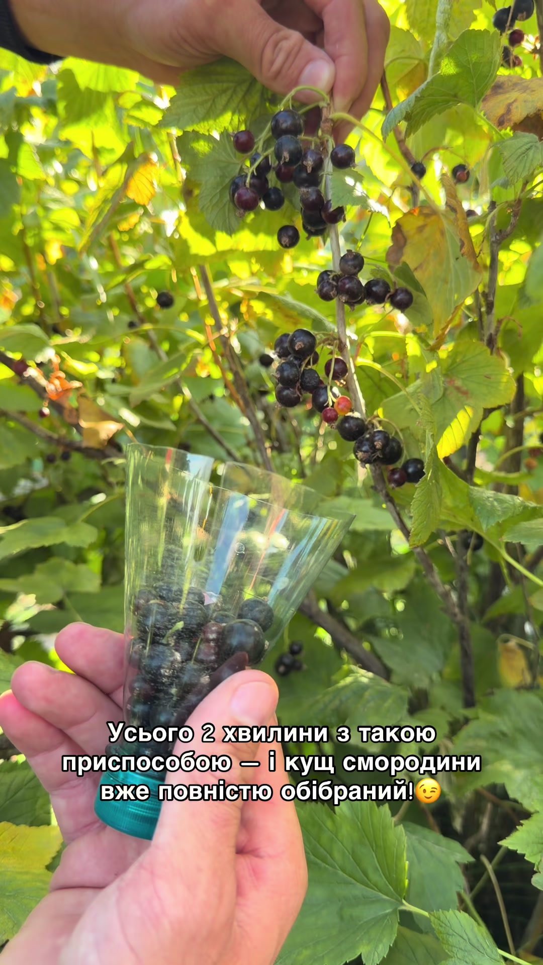 @Volynblog | Луцьк | Ковель