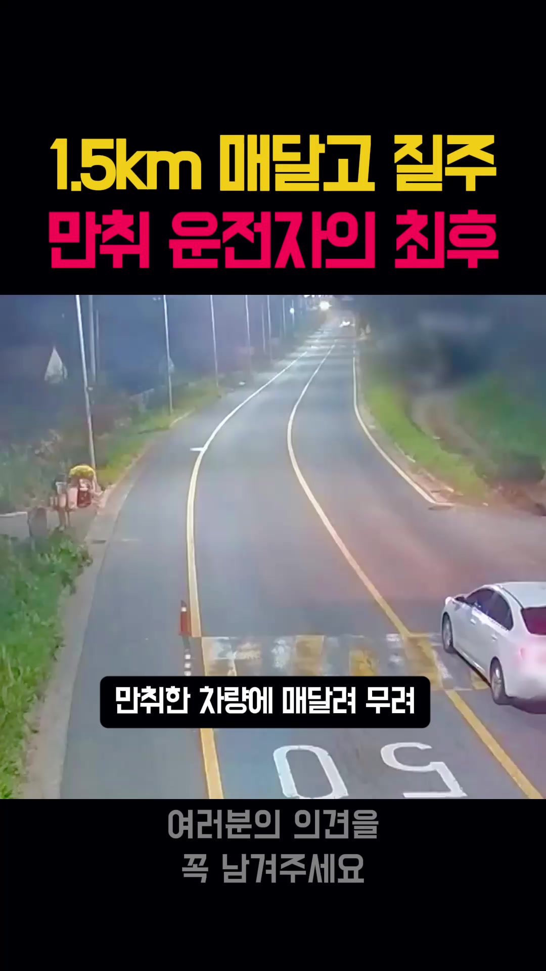 @뉴스한줄
