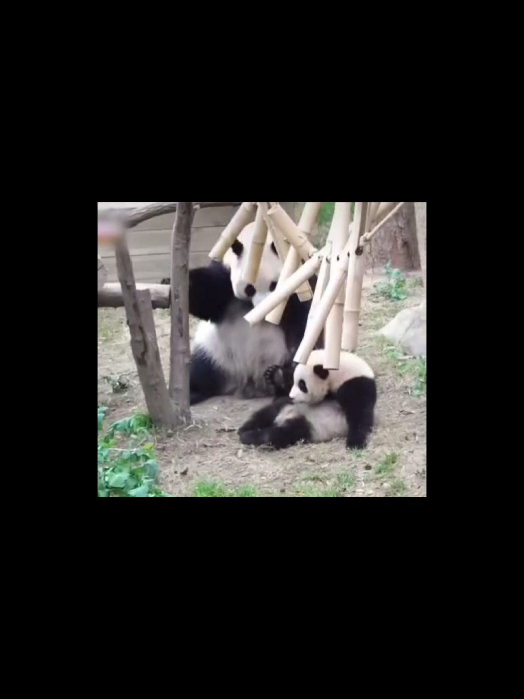 @반짝이는비니♡