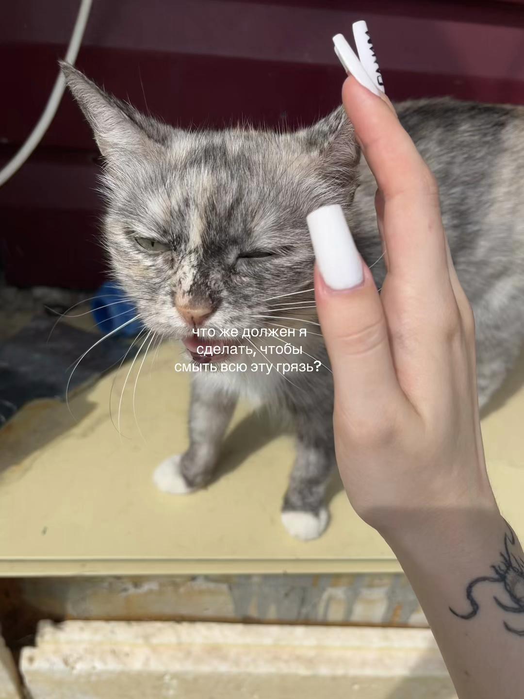 @тгк: Дом чунга чанги