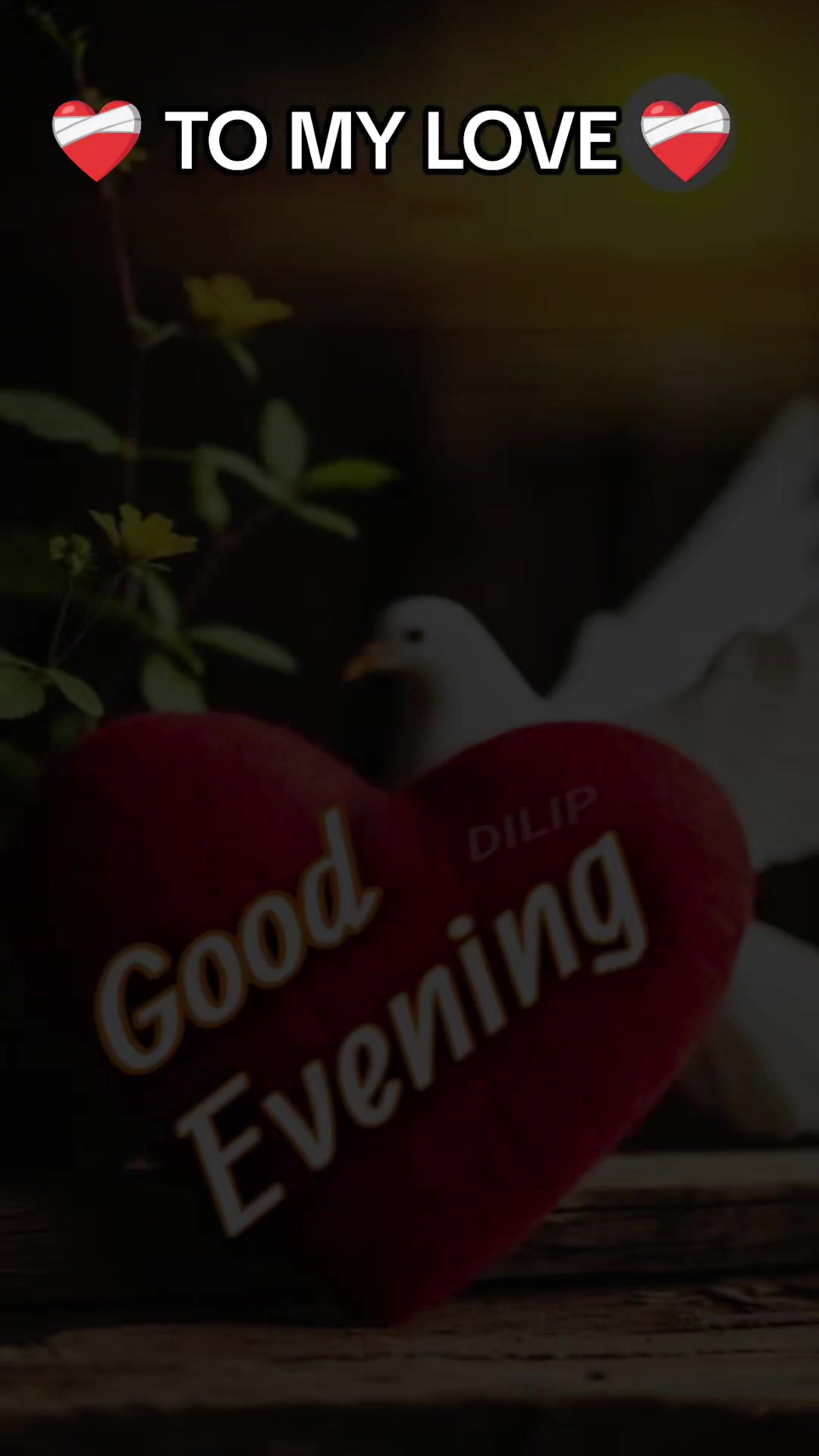 @bae🦋🦋
