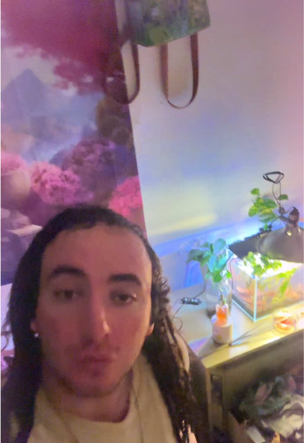 @Thefreedomwins