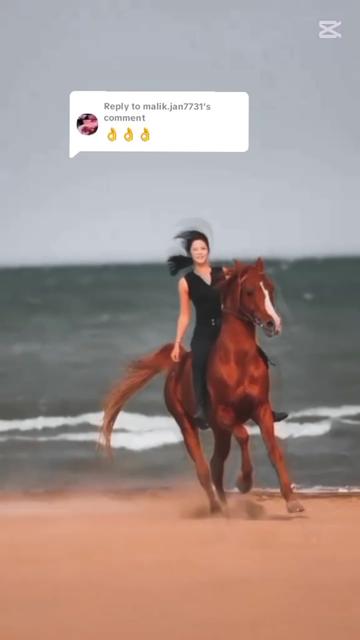@Malik 🤨 Zidi 👿