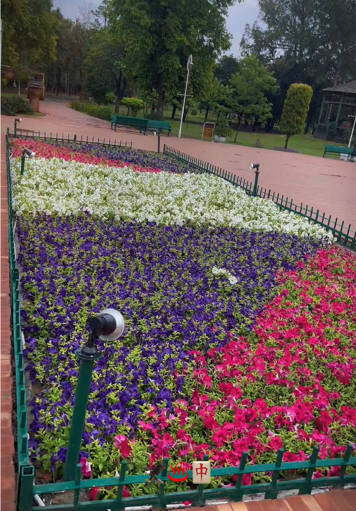 @چوھدری عمر 💫