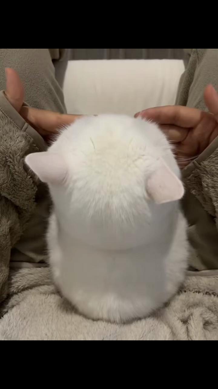 @trạm cute