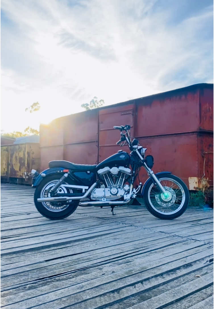 @Munnecke Rod & Custom