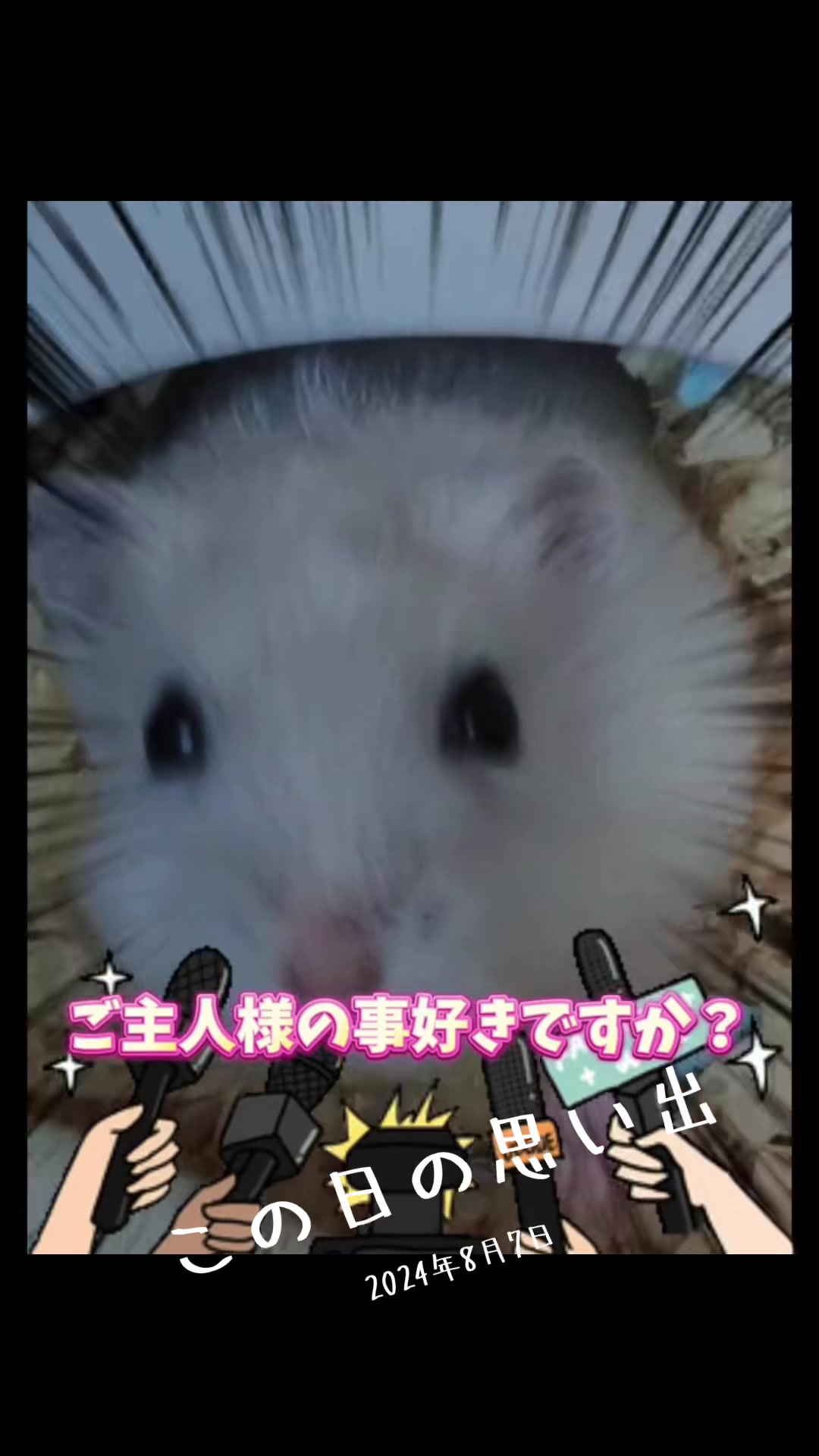 @big mama 🐹🐕