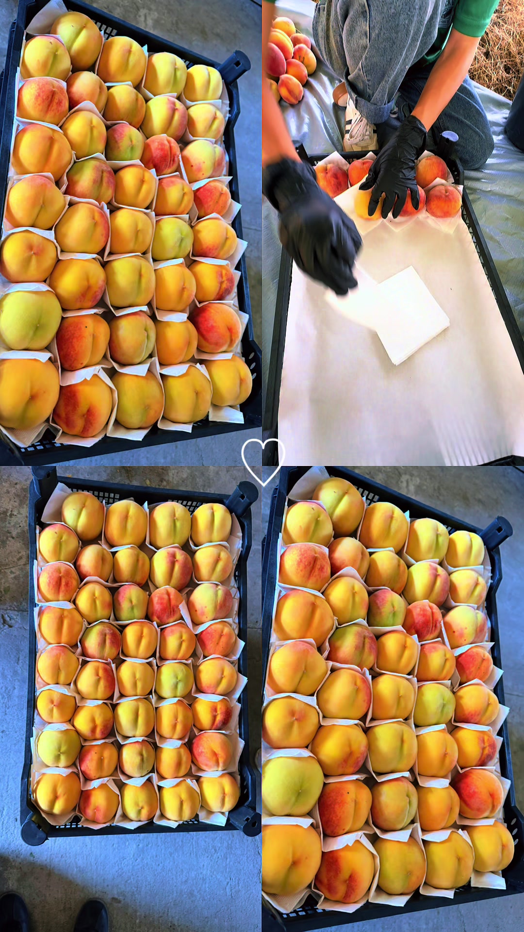 @pallet pack & load