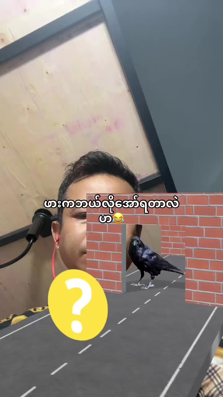 @đ¸đŹ Lin Lin 6007 đťđł