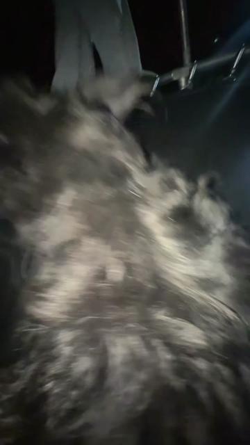 @illusion087