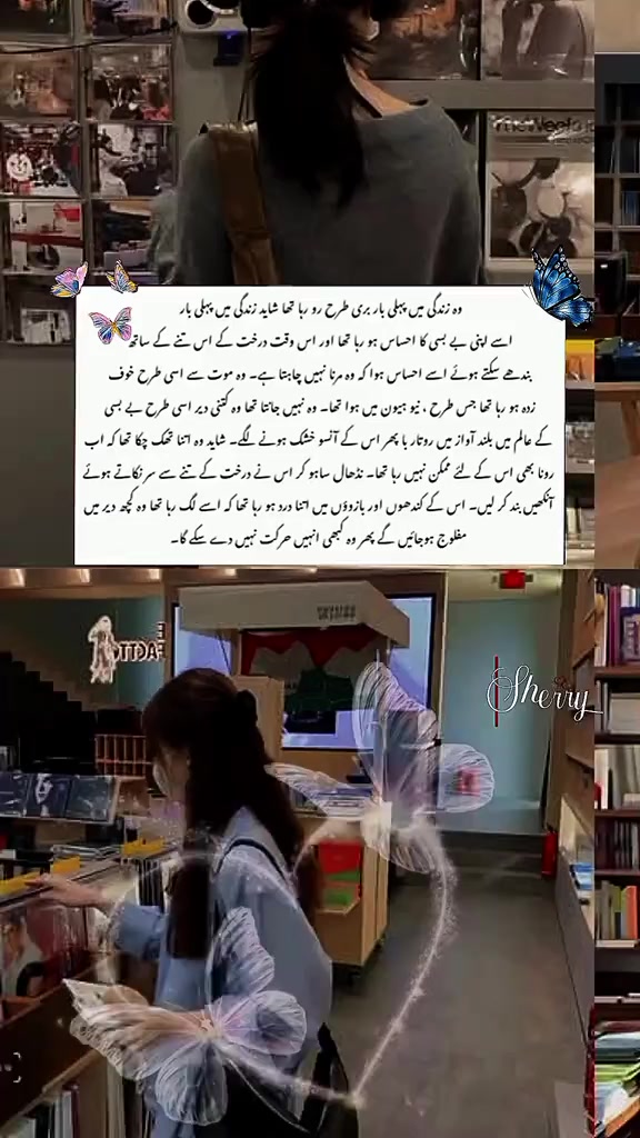 @شیری رائٹس🦢