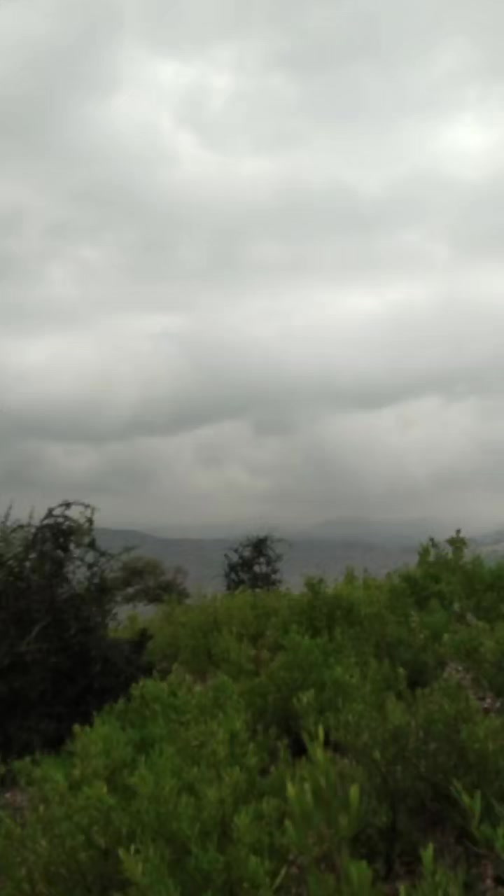 @mkhanafridi22