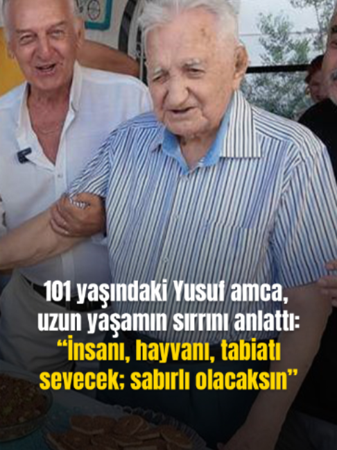 @Mynet