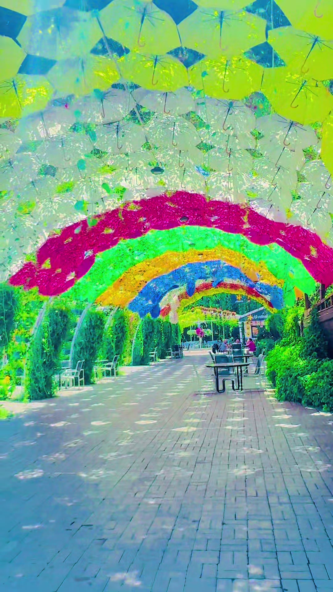 @𓃵☪︻デ ᴀ ᴍ j ᴀ ᴅ ═一