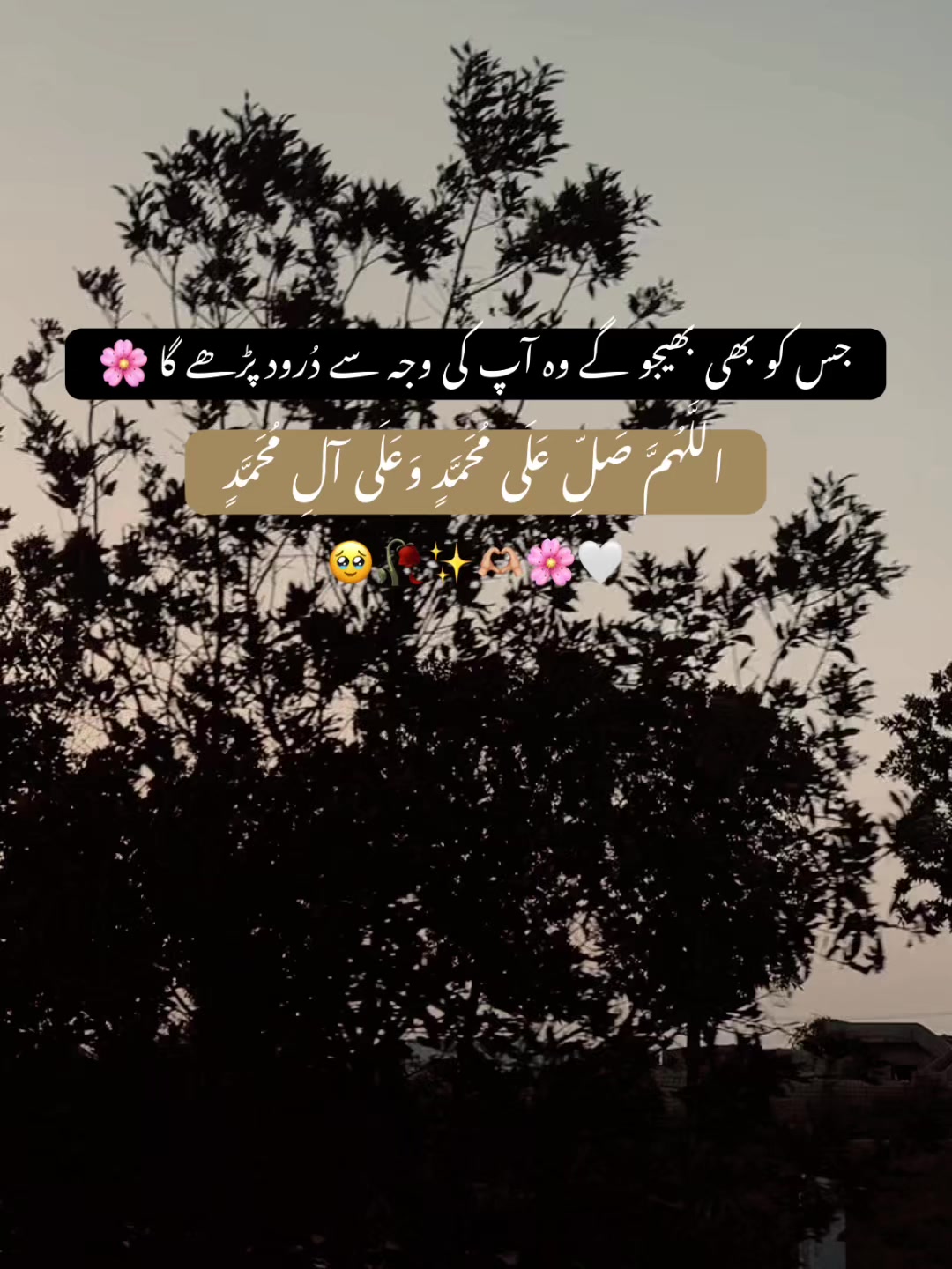 @𝘏 𝘈 𝘕 𝘡 𝘈 𝘓 𝘈 🐼 ✓
