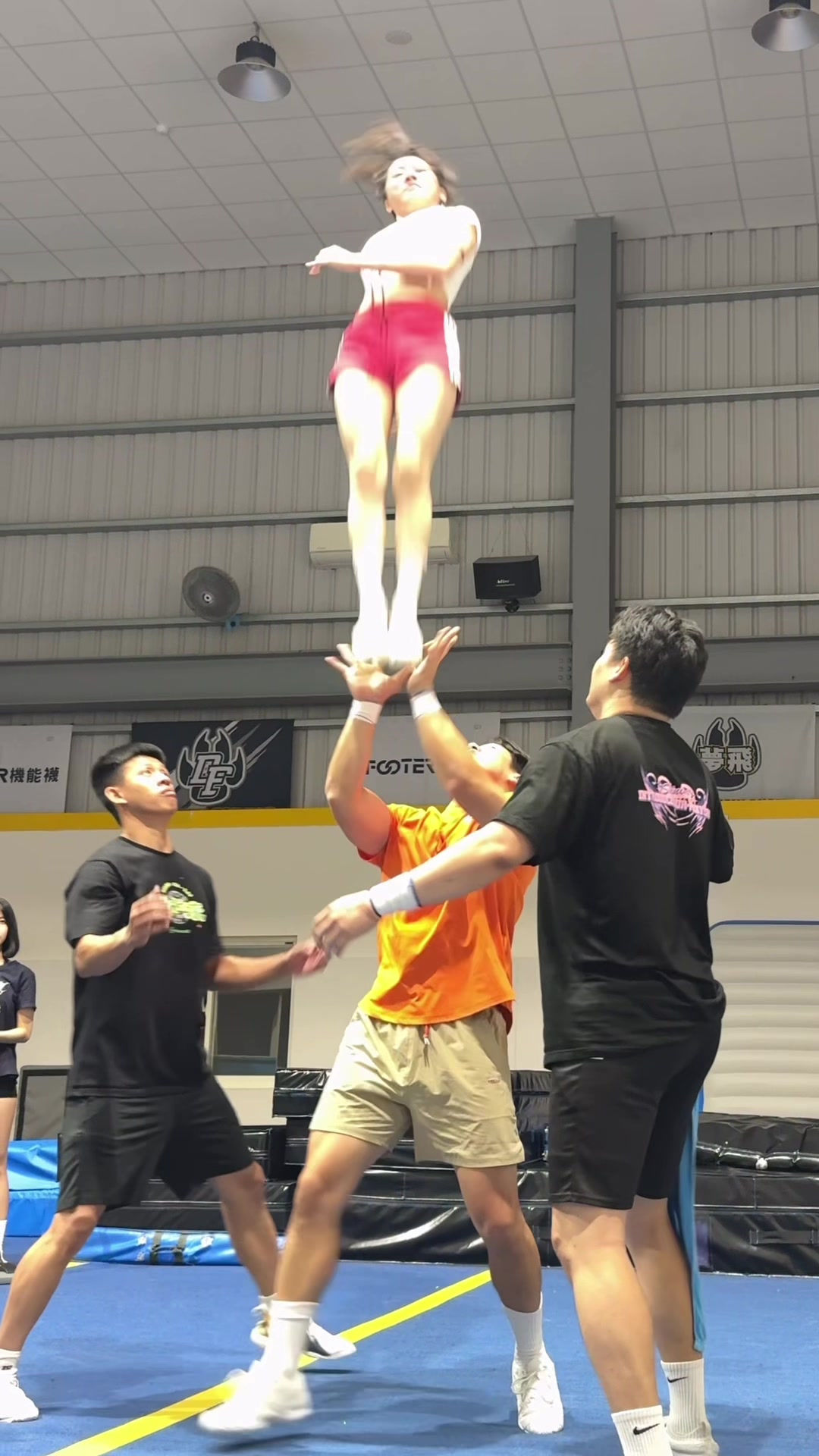 @linfancheer林凡