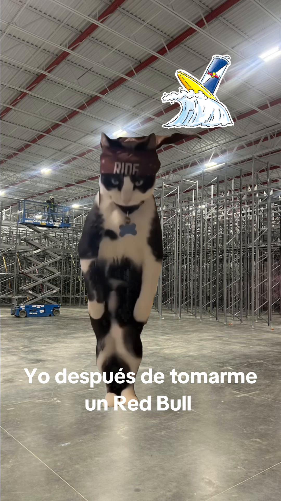 @cholo🇲🇽👑🧳🕶️team tilines