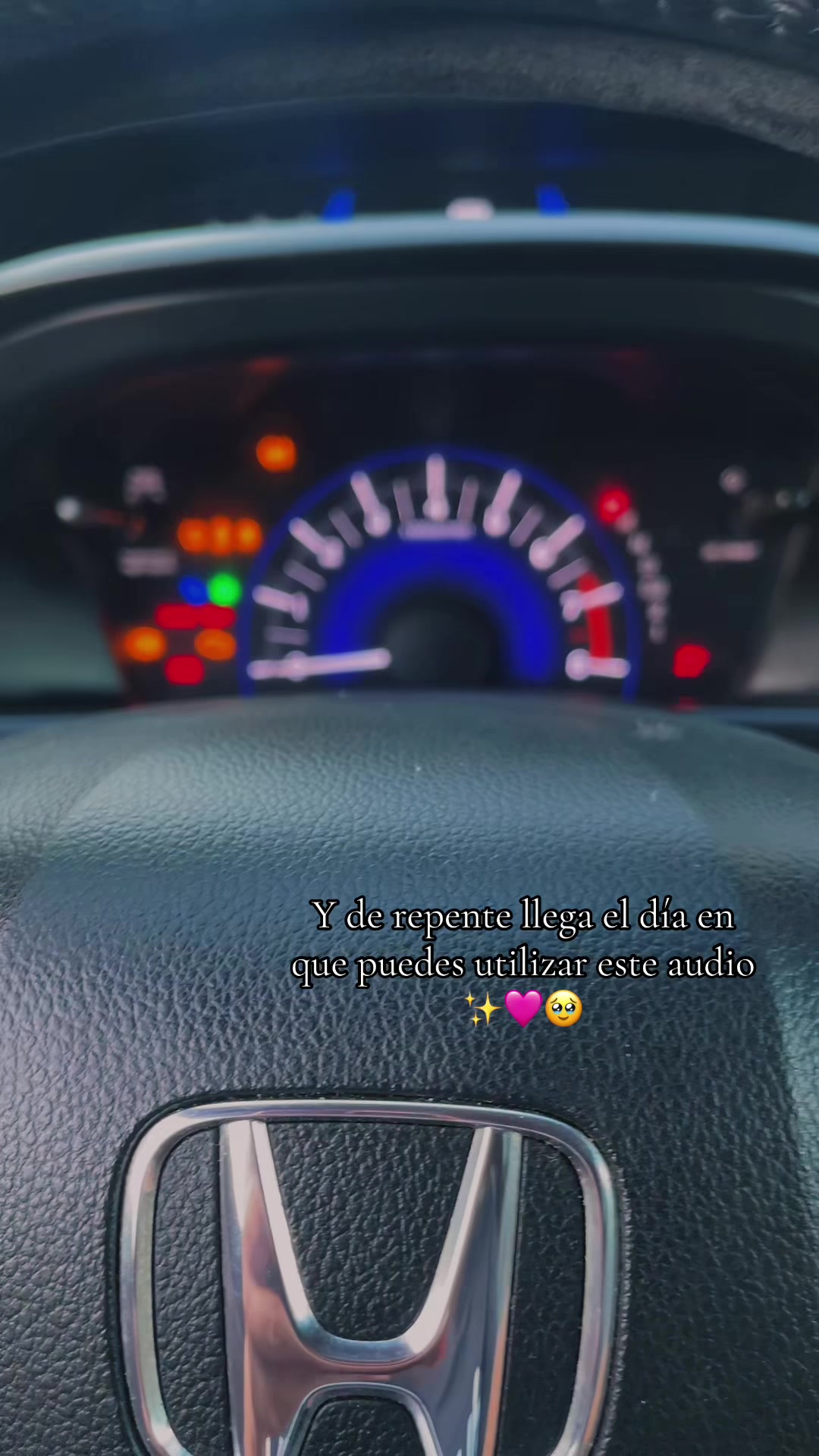 @๐ฆchïnïta ๐โจ๐๐ช