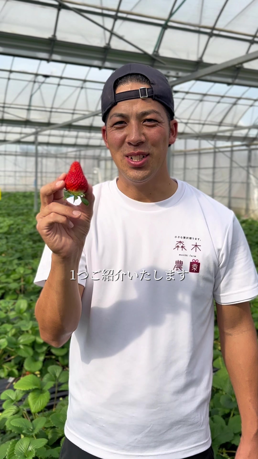 @森木農園